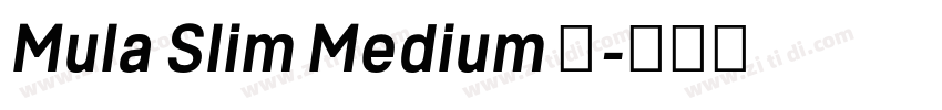 Mula Slim Medium 中字体转换